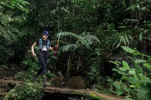 BIB: 
                            <button type="button" onclick="openModal(24755777)" class="btn btn-primary btn-sm float-right btn-popup" data-toggle="modal" data-target=".modal-high-quality">
                        <i class="fas fa-shopping-cart"></i> Add to Cart
                    </button>
                                            <button type="button" onclick="isThisMe(24755777, true)" class="btn btn-success btn-sm float-right btn-popup btn-isme hidden" data-toggle="tooltip" data-placement="bottom" title="นี่คือรูปของคุณใช่ไหม คลิกที่นี่เพื่อเอาเข้าอัลบั้ม">
                        <i class="fas fa-plus"></i> Add to album
                    </button>
                    <button type="button" onclick="isThisMe(24755777, false)" class="btn btn-warning btn-sm float-right btn-popup btn-isnotme hidden">
                        <i class="fas fa-ban"></i> Remove from album
                    </button>