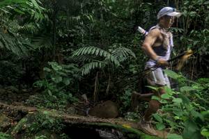 BIB: 
                            <button type="button" onclick="openModal(24753351)" class="btn btn-primary btn-sm float-right btn-popup" data-toggle="modal" data-target=".modal-high-quality">
                        <i class="fas fa-shopping-cart"></i> Add to Cart
                    </button>
                                            <button type="button" onclick="isThisMe(24753351, true)" class="btn btn-success btn-sm float-right btn-popup btn-isme hidden" data-toggle="tooltip" data-placement="bottom" title="นี่คือรูปของคุณใช่ไหม คลิกที่นี่เพื่อเอาเข้าอัลบั้ม">
                        <i class="fas fa-plus"></i> Add to album
                    </button>
                    <button type="button" onclick="isThisMe(24753351, false)" class="btn btn-warning btn-sm float-right btn-popup btn-isnotme hidden">
                        <i class="fas fa-ban"></i> Remove from album
                    </button>