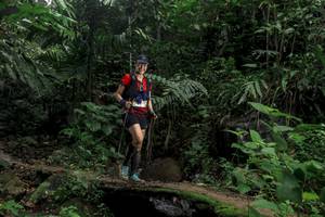 BIB: 
                            <button type="button" onclick="openModal(24768173)" class="btn btn-primary btn-sm float-right btn-popup" data-toggle="modal" data-target=".modal-high-quality">
                        <i class="fas fa-shopping-cart"></i> Add to Cart
                    </button>
                                            <button type="button" onclick="isThisMe(24768173, true)" class="btn btn-success btn-sm float-right btn-popup btn-isme hidden" data-toggle="tooltip" data-placement="bottom" title="นี่คือรูปของคุณใช่ไหม คลิกที่นี่เพื่อเอาเข้าอัลบั้ม">
                        <i class="fas fa-plus"></i> Add to album
                    </button>
                    <button type="button" onclick="isThisMe(24768173, false)" class="btn btn-warning btn-sm float-right btn-popup btn-isnotme hidden">
                        <i class="fas fa-ban"></i> Remove from album
                    </button>