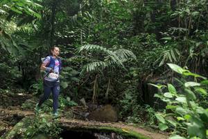 BIB: 
                            <button type="button" onclick="openModal(24759201)" class="btn btn-primary btn-sm float-right btn-popup" data-toggle="modal" data-target=".modal-high-quality">
                        <i class="fas fa-shopping-cart"></i> Add to Cart
                    </button>
                                            <button type="button" onclick="isThisMe(24759201, true)" class="btn btn-success btn-sm float-right btn-popup btn-isme hidden" data-toggle="tooltip" data-placement="bottom" title="นี่คือรูปของคุณใช่ไหม คลิกที่นี่เพื่อเอาเข้าอัลบั้ม">
                        <i class="fas fa-plus"></i> Add to album
                    </button>
                    <button type="button" onclick="isThisMe(24759201, false)" class="btn btn-warning btn-sm float-right btn-popup btn-isnotme hidden">
                        <i class="fas fa-ban"></i> Remove from album
                    </button>