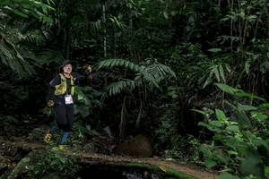 BIB: 
                            <button type="button" onclick="openModal(24759995)" class="btn btn-primary btn-sm float-right btn-popup" data-toggle="modal" data-target=".modal-high-quality">
                        <i class="fas fa-shopping-cart"></i> Add to Cart
                    </button>
                                            <button type="button" onclick="isThisMe(24759995, true)" class="btn btn-success btn-sm float-right btn-popup btn-isme hidden" data-toggle="tooltip" data-placement="bottom" title="นี่คือรูปของคุณใช่ไหม คลิกที่นี่เพื่อเอาเข้าอัลบั้ม">
                        <i class="fas fa-plus"></i> Add to album
                    </button>
                    <button type="button" onclick="isThisMe(24759995, false)" class="btn btn-warning btn-sm float-right btn-popup btn-isnotme hidden">
                        <i class="fas fa-ban"></i> Remove from album
                    </button>