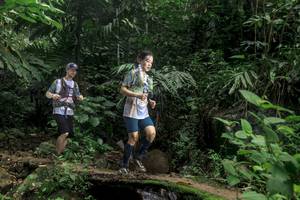 BIB: 
                            <button type="button" onclick="openModal(24756998)" class="btn btn-primary btn-sm float-right btn-popup" data-toggle="modal" data-target=".modal-high-quality">
                        <i class="fas fa-shopping-cart"></i> Add to Cart
                    </button>
                                            <button type="button" onclick="isThisMe(24756998, true)" class="btn btn-success btn-sm float-right btn-popup btn-isme hidden" data-toggle="tooltip" data-placement="bottom" title="นี่คือรูปของคุณใช่ไหม คลิกที่นี่เพื่อเอาเข้าอัลบั้ม">
                        <i class="fas fa-plus"></i> Add to album
                    </button>
                    <button type="button" onclick="isThisMe(24756998, false)" class="btn btn-warning btn-sm float-right btn-popup btn-isnotme hidden">
                        <i class="fas fa-ban"></i> Remove from album
                    </button>