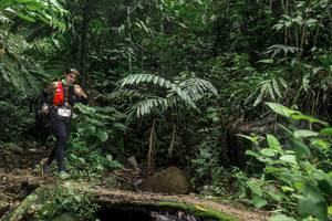 BIB: 0444
                            <button type="button" onclick="openModal(24759407)" class="btn btn-primary btn-sm float-right btn-popup" data-toggle="modal" data-target=".modal-high-quality">
                        <i class="fas fa-shopping-cart"></i> Add to Cart
                    </button>
                                            <button type="button" onclick="isThisMe(24759407, true)" class="btn btn-success btn-sm float-right btn-popup btn-isme hidden" data-toggle="tooltip" data-placement="bottom" title="นี่คือรูปของคุณใช่ไหม คลิกที่นี่เพื่อเอาเข้าอัลบั้ม">
                        <i class="fas fa-plus"></i> Add to album
                    </button>
                    <button type="button" onclick="isThisMe(24759407, false)" class="btn btn-warning btn-sm float-right btn-popup btn-isnotme hidden">
                        <i class="fas fa-ban"></i> Remove from album
                    </button>