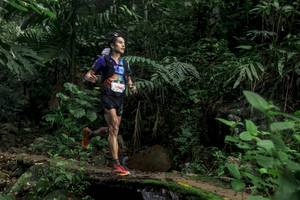 BIB: 
                            <button type="button" onclick="openModal(24749508)" class="btn btn-primary btn-sm float-right btn-popup" data-toggle="modal" data-target=".modal-high-quality">
                        <i class="fas fa-shopping-cart"></i> Add to Cart
                    </button>
                                            <button type="button" onclick="isThisMe(24749508, true)" class="btn btn-success btn-sm float-right btn-popup btn-isme hidden" data-toggle="tooltip" data-placement="bottom" title="นี่คือรูปของคุณใช่ไหม คลิกที่นี่เพื่อเอาเข้าอัลบั้ม">
                        <i class="fas fa-plus"></i> Add to album
                    </button>
                    <button type="button" onclick="isThisMe(24749508, false)" class="btn btn-warning btn-sm float-right btn-popup btn-isnotme hidden">
                        <i class="fas fa-ban"></i> Remove from album
                    </button>