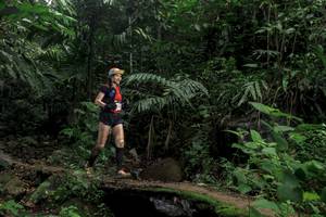 BIB: 
                            <button type="button" onclick="openModal(24768064)" class="btn btn-primary btn-sm float-right btn-popup" data-toggle="modal" data-target=".modal-high-quality">
                        <i class="fas fa-shopping-cart"></i> Add to Cart
                    </button>
                                            <button type="button" onclick="isThisMe(24768064, true)" class="btn btn-success btn-sm float-right btn-popup btn-isme hidden" data-toggle="tooltip" data-placement="bottom" title="นี่คือรูปของคุณใช่ไหม คลิกที่นี่เพื่อเอาเข้าอัลบั้ม">
                        <i class="fas fa-plus"></i> Add to album
                    </button>
                    <button type="button" onclick="isThisMe(24768064, false)" class="btn btn-warning btn-sm float-right btn-popup btn-isnotme hidden">
                        <i class="fas fa-ban"></i> Remove from album
                    </button>