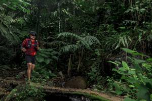 BIB: 
                            <button type="button" onclick="openModal(24758815)" class="btn btn-primary btn-sm float-right btn-popup" data-toggle="modal" data-target=".modal-high-quality">
                        <i class="fas fa-shopping-cart"></i> Add to Cart
                    </button>
                                            <button type="button" onclick="isThisMe(24758815, true)" class="btn btn-success btn-sm float-right btn-popup btn-isme hidden" data-toggle="tooltip" data-placement="bottom" title="นี่คือรูปของคุณใช่ไหม คลิกที่นี่เพื่อเอาเข้าอัลบั้ม">
                        <i class="fas fa-plus"></i> Add to album
                    </button>
                    <button type="button" onclick="isThisMe(24758815, false)" class="btn btn-warning btn-sm float-right btn-popup btn-isnotme hidden">
                        <i class="fas fa-ban"></i> Remove from album
                    </button>