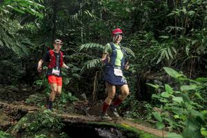 BIB: 5299
                            <button type="button" onclick="openModal(24752845)" class="btn btn-primary btn-sm float-right btn-popup" data-toggle="modal" data-target=".modal-high-quality">
                        <i class="fas fa-shopping-cart"></i> Add to Cart
                    </button>
                                            <button type="button" onclick="isThisMe(24752845, true)" class="btn btn-success btn-sm float-right btn-popup btn-isme hidden" data-toggle="tooltip" data-placement="bottom" title="นี่คือรูปของคุณใช่ไหม คลิกที่นี่เพื่อเอาเข้าอัลบั้ม">
                        <i class="fas fa-plus"></i> Add to album
                    </button>
                    <button type="button" onclick="isThisMe(24752845, false)" class="btn btn-warning btn-sm float-right btn-popup btn-isnotme hidden">
                        <i class="fas fa-ban"></i> Remove from album
                    </button>