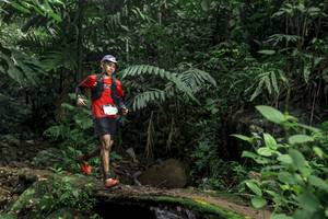 BIB: 
                            <button type="button" onclick="openModal(24747752)" class="btn btn-primary btn-sm float-right btn-popup" data-toggle="modal" data-target=".modal-high-quality">
                        <i class="fas fa-shopping-cart"></i> Add to Cart
                    </button>
                                            <button type="button" onclick="isThisMe(24747752, true)" class="btn btn-success btn-sm float-right btn-popup btn-isme hidden" data-toggle="tooltip" data-placement="bottom" title="นี่คือรูปของคุณใช่ไหม คลิกที่นี่เพื่อเอาเข้าอัลบั้ม">
                        <i class="fas fa-plus"></i> Add to album
                    </button>
                    <button type="button" onclick="isThisMe(24747752, false)" class="btn btn-warning btn-sm float-right btn-popup btn-isnotme hidden">
                        <i class="fas fa-ban"></i> Remove from album
                    </button>