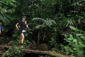 BIB: 
                            <button type="button" onclick="openModal(24756091)" class="btn btn-primary btn-sm float-right btn-popup" data-toggle="modal" data-target=".modal-high-quality">
                        <i class="fas fa-shopping-cart"></i> Add to Cart
                    </button>
                                            <button type="button" onclick="isThisMe(24756091, true)" class="btn btn-success btn-sm float-right btn-popup btn-isme hidden" data-toggle="tooltip" data-placement="bottom" title="นี่คือรูปของคุณใช่ไหม คลิกที่นี่เพื่อเอาเข้าอัลบั้ม">
                        <i class="fas fa-plus"></i> Add to album
                    </button>
                    <button type="button" onclick="isThisMe(24756091, false)" class="btn btn-warning btn-sm float-right btn-popup btn-isnotme hidden">
                        <i class="fas fa-ban"></i> Remove from album
                    </button>