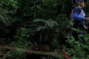 BIB: 
                            <button type="button" onclick="openModal(24763870)" class="btn btn-primary btn-sm float-right btn-popup" data-toggle="modal" data-target=".modal-high-quality">
                        <i class="fas fa-shopping-cart"></i> Add to Cart
                    </button>
                                            <button type="button" onclick="isThisMe(24763870, true)" class="btn btn-success btn-sm float-right btn-popup btn-isme hidden" data-toggle="tooltip" data-placement="bottom" title="นี่คือรูปของคุณใช่ไหม คลิกที่นี่เพื่อเอาเข้าอัลบั้ม">
                        <i class="fas fa-plus"></i> Add to album
                    </button>
                    <button type="button" onclick="isThisMe(24763870, false)" class="btn btn-warning btn-sm float-right btn-popup btn-isnotme hidden">
                        <i class="fas fa-ban"></i> Remove from album
                    </button>