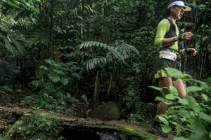 BIB: 
                            <button type="button" onclick="openModal(24747925)" class="btn btn-primary btn-sm float-right btn-popup" data-toggle="modal" data-target=".modal-high-quality">
                        <i class="fas fa-shopping-cart"></i> Add to Cart
                    </button>
                                            <button type="button" onclick="isThisMe(24747925, true)" class="btn btn-success btn-sm float-right btn-popup btn-isme hidden" data-toggle="tooltip" data-placement="bottom" title="นี่คือรูปของคุณใช่ไหม คลิกที่นี่เพื่อเอาเข้าอัลบั้ม">
                        <i class="fas fa-plus"></i> Add to album
                    </button>
                    <button type="button" onclick="isThisMe(24747925, false)" class="btn btn-warning btn-sm float-right btn-popup btn-isnotme hidden">
                        <i class="fas fa-ban"></i> Remove from album
                    </button>