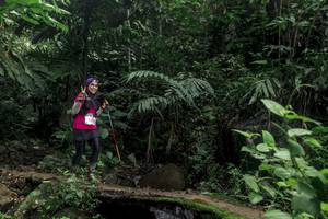 BIB: 525
                            <button type="button" onclick="openModal(24757736)" class="btn btn-primary btn-sm float-right btn-popup" data-toggle="modal" data-target=".modal-high-quality">
                        <i class="fas fa-shopping-cart"></i> Add to Cart
                    </button>
                                            <button type="button" onclick="isThisMe(24757736, true)" class="btn btn-success btn-sm float-right btn-popup btn-isme hidden" data-toggle="tooltip" data-placement="bottom" title="นี่คือรูปของคุณใช่ไหม คลิกที่นี่เพื่อเอาเข้าอัลบั้ม">
                        <i class="fas fa-plus"></i> Add to album
                    </button>
                    <button type="button" onclick="isThisMe(24757736, false)" class="btn btn-warning btn-sm float-right btn-popup btn-isnotme hidden">
                        <i class="fas fa-ban"></i> Remove from album
                    </button>