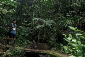 BIB: 
                            <button type="button" onclick="openModal(24759003)" class="btn btn-primary btn-sm float-right btn-popup" data-toggle="modal" data-target=".modal-high-quality">
                        <i class="fas fa-shopping-cart"></i> Add to Cart
                    </button>
                                            <button type="button" onclick="isThisMe(24759003, true)" class="btn btn-success btn-sm float-right btn-popup btn-isme hidden" data-toggle="tooltip" data-placement="bottom" title="นี่คือรูปของคุณใช่ไหม คลิกที่นี่เพื่อเอาเข้าอัลบั้ม">
                        <i class="fas fa-plus"></i> Add to album
                    </button>
                    <button type="button" onclick="isThisMe(24759003, false)" class="btn btn-warning btn-sm float-right btn-popup btn-isnotme hidden">
                        <i class="fas fa-ban"></i> Remove from album
                    </button>