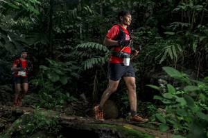 BIB: 
                            <button type="button" onclick="openModal(24746444)" class="btn btn-primary btn-sm float-right btn-popup" data-toggle="modal" data-target=".modal-high-quality">
                        <i class="fas fa-shopping-cart"></i> Add to Cart
                    </button>
                                            <button type="button" onclick="isThisMe(24746444, true)" class="btn btn-success btn-sm float-right btn-popup btn-isme hidden" data-toggle="tooltip" data-placement="bottom" title="นี่คือรูปของคุณใช่ไหม คลิกที่นี่เพื่อเอาเข้าอัลบั้ม">
                        <i class="fas fa-plus"></i> Add to album
                    </button>
                    <button type="button" onclick="isThisMe(24746444, false)" class="btn btn-warning btn-sm float-right btn-popup btn-isnotme hidden">
                        <i class="fas fa-ban"></i> Remove from album
                    </button>