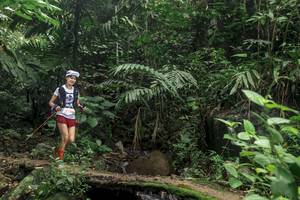 BIB: 
                            <button type="button" onclick="openModal(24758111)" class="btn btn-primary btn-sm float-right btn-popup" data-toggle="modal" data-target=".modal-high-quality">
                        <i class="fas fa-shopping-cart"></i> Add to Cart
                    </button>
                                            <button type="button" onclick="isThisMe(24758111, true)" class="btn btn-success btn-sm float-right btn-popup btn-isme hidden" data-toggle="tooltip" data-placement="bottom" title="นี่คือรูปของคุณใช่ไหม คลิกที่นี่เพื่อเอาเข้าอัลบั้ม">
                        <i class="fas fa-plus"></i> Add to album
                    </button>
                    <button type="button" onclick="isThisMe(24758111, false)" class="btn btn-warning btn-sm float-right btn-popup btn-isnotme hidden">
                        <i class="fas fa-ban"></i> Remove from album
                    </button>