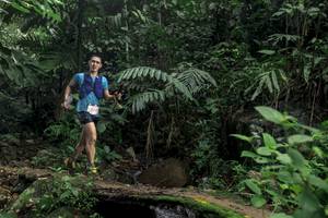 BIB: 502
                            <button type="button" onclick="openModal(24748452)" class="btn btn-primary btn-sm float-right btn-popup" data-toggle="modal" data-target=".modal-high-quality">
                        <i class="fas fa-shopping-cart"></i> Add to Cart
                    </button>
                                            <button type="button" onclick="isThisMe(24748452, true)" class="btn btn-success btn-sm float-right btn-popup btn-isme hidden" data-toggle="tooltip" data-placement="bottom" title="นี่คือรูปของคุณใช่ไหม คลิกที่นี่เพื่อเอาเข้าอัลบั้ม">
                        <i class="fas fa-plus"></i> Add to album
                    </button>
                    <button type="button" onclick="isThisMe(24748452, false)" class="btn btn-warning btn-sm float-right btn-popup btn-isnotme hidden">
                        <i class="fas fa-ban"></i> Remove from album
                    </button>