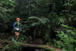 BIB: 
                            <button type="button" onclick="openModal(24758904)" class="btn btn-primary btn-sm float-right btn-popup" data-toggle="modal" data-target=".modal-high-quality">
                        <i class="fas fa-shopping-cart"></i> Add to Cart
                    </button>
                                            <button type="button" onclick="isThisMe(24758904, true)" class="btn btn-success btn-sm float-right btn-popup btn-isme hidden" data-toggle="tooltip" data-placement="bottom" title="นี่คือรูปของคุณใช่ไหม คลิกที่นี่เพื่อเอาเข้าอัลบั้ม">
                        <i class="fas fa-plus"></i> Add to album
                    </button>
                    <button type="button" onclick="isThisMe(24758904, false)" class="btn btn-warning btn-sm float-right btn-popup btn-isnotme hidden">
                        <i class="fas fa-ban"></i> Remove from album
                    </button>