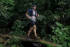 BIB: 
                            <button type="button" onclick="openModal(24751745)" class="btn btn-primary btn-sm float-right btn-popup" data-toggle="modal" data-target=".modal-high-quality">
                        <i class="fas fa-shopping-cart"></i> Add to Cart
                    </button>
                                            <button type="button" onclick="isThisMe(24751745, true)" class="btn btn-success btn-sm float-right btn-popup btn-isme hidden" data-toggle="tooltip" data-placement="bottom" title="นี่คือรูปของคุณใช่ไหม คลิกที่นี่เพื่อเอาเข้าอัลบั้ม">
                        <i class="fas fa-plus"></i> Add to album
                    </button>
                    <button type="button" onclick="isThisMe(24751745, false)" class="btn btn-warning btn-sm float-right btn-popup btn-isnotme hidden">
                        <i class="fas fa-ban"></i> Remove from album
                    </button>