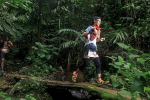 BIB: 
                            <button type="button" onclick="openModal(24754599)" class="btn btn-primary btn-sm float-right btn-popup" data-toggle="modal" data-target=".modal-high-quality">
                        <i class="fas fa-shopping-cart"></i> Add to Cart
                    </button>
                                            <button type="button" onclick="isThisMe(24754599, true)" class="btn btn-success btn-sm float-right btn-popup btn-isme hidden" data-toggle="tooltip" data-placement="bottom" title="นี่คือรูปของคุณใช่ไหม คลิกที่นี่เพื่อเอาเข้าอัลบั้ม">
                        <i class="fas fa-plus"></i> Add to album
                    </button>
                    <button type="button" onclick="isThisMe(24754599, false)" class="btn btn-warning btn-sm float-right btn-popup btn-isnotme hidden">
                        <i class="fas fa-ban"></i> Remove from album
                    </button>