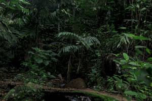 BIB: 
                            <button type="button" onclick="openModal(24770670)" class="btn btn-primary btn-sm float-right btn-popup" data-toggle="modal" data-target=".modal-high-quality">
                        <i class="fas fa-shopping-cart"></i> Add to Cart
                    </button>
                                            <button type="button" onclick="isThisMe(24770670, true)" class="btn btn-success btn-sm float-right btn-popup btn-isme hidden" data-toggle="tooltip" data-placement="bottom" title="นี่คือรูปของคุณใช่ไหม คลิกที่นี่เพื่อเอาเข้าอัลบั้ม">
                        <i class="fas fa-plus"></i> Add to album
                    </button>
                    <button type="button" onclick="isThisMe(24770670, false)" class="btn btn-warning btn-sm float-right btn-popup btn-isnotme hidden">
                        <i class="fas fa-ban"></i> Remove from album
                    </button>