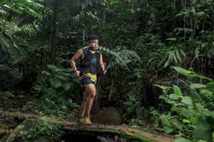 BIB: 
                            <button type="button" onclick="openModal(24758945)" class="btn btn-primary btn-sm float-right btn-popup" data-toggle="modal" data-target=".modal-high-quality">
                        <i class="fas fa-shopping-cart"></i> Add to Cart
                    </button>
                                            <button type="button" onclick="isThisMe(24758945, true)" class="btn btn-success btn-sm float-right btn-popup btn-isme hidden" data-toggle="tooltip" data-placement="bottom" title="นี่คือรูปของคุณใช่ไหม คลิกที่นี่เพื่อเอาเข้าอัลบั้ม">
                        <i class="fas fa-plus"></i> Add to album
                    </button>
                    <button type="button" onclick="isThisMe(24758945, false)" class="btn btn-warning btn-sm float-right btn-popup btn-isnotme hidden">
                        <i class="fas fa-ban"></i> Remove from album
                    </button>