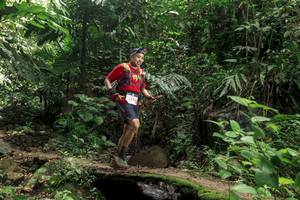 BIB: 5429
                            <button type="button" onclick="openModal(24767816)" class="btn btn-primary btn-sm float-right btn-popup" data-toggle="modal" data-target=".modal-high-quality">
                        <i class="fas fa-shopping-cart"></i> Add to Cart
                    </button>
                                            <button type="button" onclick="isThisMe(24767816, true)" class="btn btn-success btn-sm float-right btn-popup btn-isme hidden" data-toggle="tooltip" data-placement="bottom" title="นี่คือรูปของคุณใช่ไหม คลิกที่นี่เพื่อเอาเข้าอัลบั้ม">
                        <i class="fas fa-plus"></i> Add to album
                    </button>
                    <button type="button" onclick="isThisMe(24767816, false)" class="btn btn-warning btn-sm float-right btn-popup btn-isnotme hidden">
                        <i class="fas fa-ban"></i> Remove from album
                    </button>