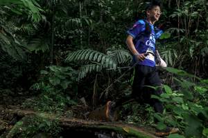 BIB: 
                            <button type="button" onclick="openModal(24760828)" class="btn btn-primary btn-sm float-right btn-popup" data-toggle="modal" data-target=".modal-high-quality">
                        <i class="fas fa-shopping-cart"></i> Add to Cart
                    </button>
                                            <button type="button" onclick="isThisMe(24760828, true)" class="btn btn-success btn-sm float-right btn-popup btn-isme hidden" data-toggle="tooltip" data-placement="bottom" title="นี่คือรูปของคุณใช่ไหม คลิกที่นี่เพื่อเอาเข้าอัลบั้ม">
                        <i class="fas fa-plus"></i> Add to album
                    </button>
                    <button type="button" onclick="isThisMe(24760828, false)" class="btn btn-warning btn-sm float-right btn-popup btn-isnotme hidden">
                        <i class="fas fa-ban"></i> Remove from album
                    </button>