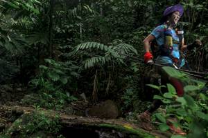 BIB: 
                            <button type="button" onclick="openModal(24747090)" class="btn btn-primary btn-sm float-right btn-popup" data-toggle="modal" data-target=".modal-high-quality">
                        <i class="fas fa-shopping-cart"></i> Add to Cart
                    </button>
                                            <button type="button" onclick="isThisMe(24747090, true)" class="btn btn-success btn-sm float-right btn-popup btn-isme hidden" data-toggle="tooltip" data-placement="bottom" title="นี่คือรูปของคุณใช่ไหม คลิกที่นี่เพื่อเอาเข้าอัลบั้ม">
                        <i class="fas fa-plus"></i> Add to album
                    </button>
                    <button type="button" onclick="isThisMe(24747090, false)" class="btn btn-warning btn-sm float-right btn-popup btn-isnotme hidden">
                        <i class="fas fa-ban"></i> Remove from album
                    </button>