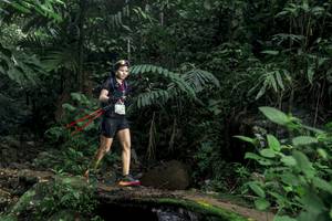 BIB: 
                            <button type="button" onclick="openModal(24748095)" class="btn btn-primary btn-sm float-right btn-popup" data-toggle="modal" data-target=".modal-high-quality">
                        <i class="fas fa-shopping-cart"></i> Add to Cart
                    </button>
                                            <button type="button" onclick="isThisMe(24748095, true)" class="btn btn-success btn-sm float-right btn-popup btn-isme hidden" data-toggle="tooltip" data-placement="bottom" title="นี่คือรูปของคุณใช่ไหม คลิกที่นี่เพื่อเอาเข้าอัลบั้ม">
                        <i class="fas fa-plus"></i> Add to album
                    </button>
                    <button type="button" onclick="isThisMe(24748095, false)" class="btn btn-warning btn-sm float-right btn-popup btn-isnotme hidden">
                        <i class="fas fa-ban"></i> Remove from album
                    </button>