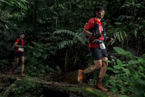 BIB: 
                            <button type="button" onclick="openModal(24746448)" class="btn btn-primary btn-sm float-right btn-popup" data-toggle="modal" data-target=".modal-high-quality">
                        <i class="fas fa-shopping-cart"></i> Add to Cart
                    </button>
                                            <button type="button" onclick="isThisMe(24746448, true)" class="btn btn-success btn-sm float-right btn-popup btn-isme hidden" data-toggle="tooltip" data-placement="bottom" title="นี่คือรูปของคุณใช่ไหม คลิกที่นี่เพื่อเอาเข้าอัลบั้ม">
                        <i class="fas fa-plus"></i> Add to album
                    </button>
                    <button type="button" onclick="isThisMe(24746448, false)" class="btn btn-warning btn-sm float-right btn-popup btn-isnotme hidden">
                        <i class="fas fa-ban"></i> Remove from album
                    </button>