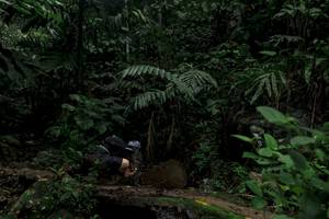 BIB: 
                            <button type="button" onclick="openModal(24746498)" class="btn btn-primary btn-sm float-right btn-popup" data-toggle="modal" data-target=".modal-high-quality">
                        <i class="fas fa-shopping-cart"></i> Add to Cart
                    </button>
                                            <button type="button" onclick="isThisMe(24746498, true)" class="btn btn-success btn-sm float-right btn-popup btn-isme hidden" data-toggle="tooltip" data-placement="bottom" title="นี่คือรูปของคุณใช่ไหม คลิกที่นี่เพื่อเอาเข้าอัลบั้ม">
                        <i class="fas fa-plus"></i> Add to album
                    </button>
                    <button type="button" onclick="isThisMe(24746498, false)" class="btn btn-warning btn-sm float-right btn-popup btn-isnotme hidden">
                        <i class="fas fa-ban"></i> Remove from album
                    </button>