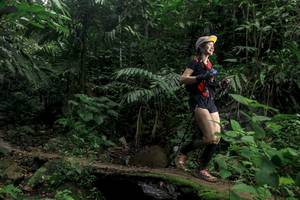 BIB: 
                            <button type="button" onclick="openModal(24768119)" class="btn btn-primary btn-sm float-right btn-popup" data-toggle="modal" data-target=".modal-high-quality">
                        <i class="fas fa-shopping-cart"></i> Add to Cart
                    </button>
                                            <button type="button" onclick="isThisMe(24768119, true)" class="btn btn-success btn-sm float-right btn-popup btn-isme hidden" data-toggle="tooltip" data-placement="bottom" title="นี่คือรูปของคุณใช่ไหม คลิกที่นี่เพื่อเอาเข้าอัลบั้ม">
                        <i class="fas fa-plus"></i> Add to album
                    </button>
                    <button type="button" onclick="isThisMe(24768119, false)" class="btn btn-warning btn-sm float-right btn-popup btn-isnotme hidden">
                        <i class="fas fa-ban"></i> Remove from album
                    </button>