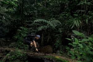 BIB: 
                            <button type="button" onclick="openModal(24746493)" class="btn btn-primary btn-sm float-right btn-popup" data-toggle="modal" data-target=".modal-high-quality">
                        <i class="fas fa-shopping-cart"></i> Add to Cart
                    </button>
                                            <button type="button" onclick="isThisMe(24746493, true)" class="btn btn-success btn-sm float-right btn-popup btn-isme hidden" data-toggle="tooltip" data-placement="bottom" title="นี่คือรูปของคุณใช่ไหม คลิกที่นี่เพื่อเอาเข้าอัลบั้ม">
                        <i class="fas fa-plus"></i> Add to album
                    </button>
                    <button type="button" onclick="isThisMe(24746493, false)" class="btn btn-warning btn-sm float-right btn-popup btn-isnotme hidden">
                        <i class="fas fa-ban"></i> Remove from album
                    </button>