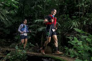 BIB: 5308
                            <button type="button" onclick="openModal(24764822)" class="btn btn-primary btn-sm float-right btn-popup" data-toggle="modal" data-target=".modal-high-quality">
                        <i class="fas fa-shopping-cart"></i> Add to Cart
                    </button>
                                            <button type="button" onclick="isThisMe(24764822, true)" class="btn btn-success btn-sm float-right btn-popup btn-isme hidden" data-toggle="tooltip" data-placement="bottom" title="นี่คือรูปของคุณใช่ไหม คลิกที่นี่เพื่อเอาเข้าอัลบั้ม">
                        <i class="fas fa-plus"></i> Add to album
                    </button>
                    <button type="button" onclick="isThisMe(24764822, false)" class="btn btn-warning btn-sm float-right btn-popup btn-isnotme hidden">
                        <i class="fas fa-ban"></i> Remove from album
                    </button>