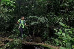 BIB: 
                            <button type="button" onclick="openModal(24757568)" class="btn btn-primary btn-sm float-right btn-popup" data-toggle="modal" data-target=".modal-high-quality">
                        <i class="fas fa-shopping-cart"></i> Add to Cart
                    </button>
                                            <button type="button" onclick="isThisMe(24757568, true)" class="btn btn-success btn-sm float-right btn-popup btn-isme hidden" data-toggle="tooltip" data-placement="bottom" title="นี่คือรูปของคุณใช่ไหม คลิกที่นี่เพื่อเอาเข้าอัลบั้ม">
                        <i class="fas fa-plus"></i> Add to album
                    </button>
                    <button type="button" onclick="isThisMe(24757568, false)" class="btn btn-warning btn-sm float-right btn-popup btn-isnotme hidden">
                        <i class="fas fa-ban"></i> Remove from album
                    </button>