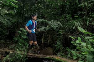 BIB: 
                            <button type="button" onclick="openModal(24756025)" class="btn btn-primary btn-sm float-right btn-popup" data-toggle="modal" data-target=".modal-high-quality">
                        <i class="fas fa-shopping-cart"></i> Add to Cart
                    </button>
                                            <button type="button" onclick="isThisMe(24756025, true)" class="btn btn-success btn-sm float-right btn-popup btn-isme hidden" data-toggle="tooltip" data-placement="bottom" title="นี่คือรูปของคุณใช่ไหม คลิกที่นี่เพื่อเอาเข้าอัลบั้ม">
                        <i class="fas fa-plus"></i> Add to album
                    </button>
                    <button type="button" onclick="isThisMe(24756025, false)" class="btn btn-warning btn-sm float-right btn-popup btn-isnotme hidden">
                        <i class="fas fa-ban"></i> Remove from album
                    </button>