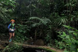 BIB: 
                            <button type="button" onclick="openModal(24758901)" class="btn btn-primary btn-sm float-right btn-popup" data-toggle="modal" data-target=".modal-high-quality">
                        <i class="fas fa-shopping-cart"></i> Add to Cart
                    </button>
                                            <button type="button" onclick="isThisMe(24758901, true)" class="btn btn-success btn-sm float-right btn-popup btn-isme hidden" data-toggle="tooltip" data-placement="bottom" title="นี่คือรูปของคุณใช่ไหม คลิกที่นี่เพื่อเอาเข้าอัลบั้ม">
                        <i class="fas fa-plus"></i> Add to album
                    </button>
                    <button type="button" onclick="isThisMe(24758901, false)" class="btn btn-warning btn-sm float-right btn-popup btn-isnotme hidden">
                        <i class="fas fa-ban"></i> Remove from album
                    </button>