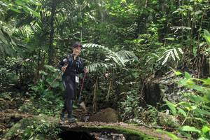 BIB: 
                            <button type="button" onclick="openModal(24775160)" class="btn btn-primary btn-sm float-right btn-popup" data-toggle="modal" data-target=".modal-high-quality">
                        <i class="fas fa-shopping-cart"></i> Add to Cart
                    </button>
                                            <button type="button" onclick="isThisMe(24775160, true)" class="btn btn-success btn-sm float-right btn-popup btn-isme hidden" data-toggle="tooltip" data-placement="bottom" title="นี่คือรูปของคุณใช่ไหม คลิกที่นี่เพื่อเอาเข้าอัลบั้ม">
                        <i class="fas fa-plus"></i> Add to album
                    </button>
                    <button type="button" onclick="isThisMe(24775160, false)" class="btn btn-warning btn-sm float-right btn-popup btn-isnotme hidden">
                        <i class="fas fa-ban"></i> Remove from album
                    </button>