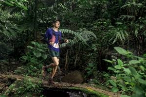 BIB: 
                            <button type="button" onclick="openModal(24747352)" class="btn btn-primary btn-sm float-right btn-popup" data-toggle="modal" data-target=".modal-high-quality">
                        <i class="fas fa-shopping-cart"></i> Add to Cart
                    </button>
                                            <button type="button" onclick="isThisMe(24747352, true)" class="btn btn-success btn-sm float-right btn-popup btn-isme hidden" data-toggle="tooltip" data-placement="bottom" title="นี่คือรูปของคุณใช่ไหม คลิกที่นี่เพื่อเอาเข้าอัลบั้ม">
                        <i class="fas fa-plus"></i> Add to album
                    </button>
                    <button type="button" onclick="isThisMe(24747352, false)" class="btn btn-warning btn-sm float-right btn-popup btn-isnotme hidden">
                        <i class="fas fa-ban"></i> Remove from album
                    </button>