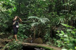 BIB: 
                            <button type="button" onclick="openModal(24767622)" class="btn btn-primary btn-sm float-right btn-popup" data-toggle="modal" data-target=".modal-high-quality">
                        <i class="fas fa-shopping-cart"></i> Add to Cart
                    </button>
                                            <button type="button" onclick="isThisMe(24767622, true)" class="btn btn-success btn-sm float-right btn-popup btn-isme hidden" data-toggle="tooltip" data-placement="bottom" title="นี่คือรูปของคุณใช่ไหม คลิกที่นี่เพื่อเอาเข้าอัลบั้ม">
                        <i class="fas fa-plus"></i> Add to album
                    </button>
                    <button type="button" onclick="isThisMe(24767622, false)" class="btn btn-warning btn-sm float-right btn-popup btn-isnotme hidden">
                        <i class="fas fa-ban"></i> Remove from album
                    </button>