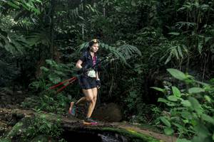 BIB: 
                            <button type="button" onclick="openModal(24748113)" class="btn btn-primary btn-sm float-right btn-popup" data-toggle="modal" data-target=".modal-high-quality">
                        <i class="fas fa-shopping-cart"></i> Add to Cart
                    </button>
                                            <button type="button" onclick="isThisMe(24748113, true)" class="btn btn-success btn-sm float-right btn-popup btn-isme hidden" data-toggle="tooltip" data-placement="bottom" title="นี่คือรูปของคุณใช่ไหม คลิกที่นี่เพื่อเอาเข้าอัลบั้ม">
                        <i class="fas fa-plus"></i> Add to album
                    </button>
                    <button type="button" onclick="isThisMe(24748113, false)" class="btn btn-warning btn-sm float-right btn-popup btn-isnotme hidden">
                        <i class="fas fa-ban"></i> Remove from album
                    </button>