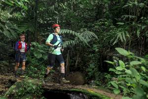 BIB: 
                            <button type="button" onclick="openModal(24747692)" class="btn btn-primary btn-sm float-right btn-popup" data-toggle="modal" data-target=".modal-high-quality">
                        <i class="fas fa-shopping-cart"></i> Add to Cart
                    </button>
                                            <button type="button" onclick="isThisMe(24747692, true)" class="btn btn-success btn-sm float-right btn-popup btn-isme hidden" data-toggle="tooltip" data-placement="bottom" title="นี่คือรูปของคุณใช่ไหม คลิกที่นี่เพื่อเอาเข้าอัลบั้ม">
                        <i class="fas fa-plus"></i> Add to album
                    </button>
                    <button type="button" onclick="isThisMe(24747692, false)" class="btn btn-warning btn-sm float-right btn-popup btn-isnotme hidden">
                        <i class="fas fa-ban"></i> Remove from album
                    </button>