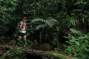 BIB: 
                            <button type="button" onclick="openModal(24746820)" class="btn btn-primary btn-sm float-right btn-popup" data-toggle="modal" data-target=".modal-high-quality">
                        <i class="fas fa-shopping-cart"></i> Add to Cart
                    </button>
                                            <button type="button" onclick="isThisMe(24746820, true)" class="btn btn-success btn-sm float-right btn-popup btn-isme hidden" data-toggle="tooltip" data-placement="bottom" title="นี่คือรูปของคุณใช่ไหม คลิกที่นี่เพื่อเอาเข้าอัลบั้ม">
                        <i class="fas fa-plus"></i> Add to album
                    </button>
                    <button type="button" onclick="isThisMe(24746820, false)" class="btn btn-warning btn-sm float-right btn-popup btn-isnotme hidden">
                        <i class="fas fa-ban"></i> Remove from album
                    </button>