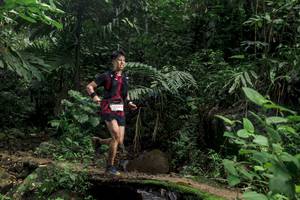 BIB: 
                            <button type="button" onclick="openModal(24757101)" class="btn btn-primary btn-sm float-right btn-popup" data-toggle="modal" data-target=".modal-high-quality">
                        <i class="fas fa-shopping-cart"></i> Add to Cart
                    </button>
                                            <button type="button" onclick="isThisMe(24757101, true)" class="btn btn-success btn-sm float-right btn-popup btn-isme hidden" data-toggle="tooltip" data-placement="bottom" title="นี่คือรูปของคุณใช่ไหม คลิกที่นี่เพื่อเอาเข้าอัลบั้ม">
                        <i class="fas fa-plus"></i> Add to album
                    </button>
                    <button type="button" onclick="isThisMe(24757101, false)" class="btn btn-warning btn-sm float-right btn-popup btn-isnotme hidden">
                        <i class="fas fa-ban"></i> Remove from album
                    </button>