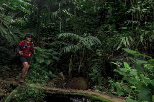 BIB: 
                            <button type="button" onclick="openModal(24758817)" class="btn btn-primary btn-sm float-right btn-popup" data-toggle="modal" data-target=".modal-high-quality">
                        <i class="fas fa-shopping-cart"></i> Add to Cart
                    </button>
                                            <button type="button" onclick="isThisMe(24758817, true)" class="btn btn-success btn-sm float-right btn-popup btn-isme hidden" data-toggle="tooltip" data-placement="bottom" title="นี่คือรูปของคุณใช่ไหม คลิกที่นี่เพื่อเอาเข้าอัลบั้ม">
                        <i class="fas fa-plus"></i> Add to album
                    </button>
                    <button type="button" onclick="isThisMe(24758817, false)" class="btn btn-warning btn-sm float-right btn-popup btn-isnotme hidden">
                        <i class="fas fa-ban"></i> Remove from album
                    </button>