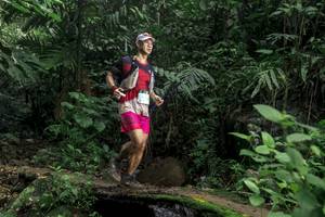 BIB: 
                            <button type="button" onclick="openModal(24747951)" class="btn btn-primary btn-sm float-right btn-popup" data-toggle="modal" data-target=".modal-high-quality">
                        <i class="fas fa-shopping-cart"></i> Add to Cart
                    </button>
                                            <button type="button" onclick="isThisMe(24747951, true)" class="btn btn-success btn-sm float-right btn-popup btn-isme hidden" data-toggle="tooltip" data-placement="bottom" title="นี่คือรูปของคุณใช่ไหม คลิกที่นี่เพื่อเอาเข้าอัลบั้ม">
                        <i class="fas fa-plus"></i> Add to album
                    </button>
                    <button type="button" onclick="isThisMe(24747951, false)" class="btn btn-warning btn-sm float-right btn-popup btn-isnotme hidden">
                        <i class="fas fa-ban"></i> Remove from album
                    </button>