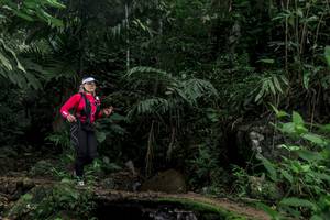 BIB: 
                            <button type="button" onclick="openModal(24774300)" class="btn btn-primary btn-sm float-right btn-popup" data-toggle="modal" data-target=".modal-high-quality">
                        <i class="fas fa-shopping-cart"></i> Add to Cart
                    </button>
                                            <button type="button" onclick="isThisMe(24774300, true)" class="btn btn-success btn-sm float-right btn-popup btn-isme hidden" data-toggle="tooltip" data-placement="bottom" title="นี่คือรูปของคุณใช่ไหม คลิกที่นี่เพื่อเอาเข้าอัลบั้ม">
                        <i class="fas fa-plus"></i> Add to album
                    </button>
                    <button type="button" onclick="isThisMe(24774300, false)" class="btn btn-warning btn-sm float-right btn-popup btn-isnotme hidden">
                        <i class="fas fa-ban"></i> Remove from album
                    </button>