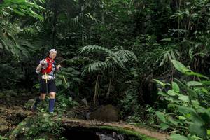 BIB: 
                            <button type="button" onclick="openModal(24756940)" class="btn btn-primary btn-sm float-right btn-popup" data-toggle="modal" data-target=".modal-high-quality">
                        <i class="fas fa-shopping-cart"></i> Add to Cart
                    </button>
                                            <button type="button" onclick="isThisMe(24756940, true)" class="btn btn-success btn-sm float-right btn-popup btn-isme hidden" data-toggle="tooltip" data-placement="bottom" title="นี่คือรูปของคุณใช่ไหม คลิกที่นี่เพื่อเอาเข้าอัลบั้ม">
                        <i class="fas fa-plus"></i> Add to album
                    </button>
                    <button type="button" onclick="isThisMe(24756940, false)" class="btn btn-warning btn-sm float-right btn-popup btn-isnotme hidden">
                        <i class="fas fa-ban"></i> Remove from album
                    </button>