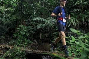 BIB: 
                            <button type="button" onclick="openModal(24748272)" class="btn btn-primary btn-sm float-right btn-popup" data-toggle="modal" data-target=".modal-high-quality">
                        <i class="fas fa-shopping-cart"></i> Add to Cart
                    </button>
                                            <button type="button" onclick="isThisMe(24748272, true)" class="btn btn-success btn-sm float-right btn-popup btn-isme hidden" data-toggle="tooltip" data-placement="bottom" title="นี่คือรูปของคุณใช่ไหม คลิกที่นี่เพื่อเอาเข้าอัลบั้ม">
                        <i class="fas fa-plus"></i> Add to album
                    </button>
                    <button type="button" onclick="isThisMe(24748272, false)" class="btn btn-warning btn-sm float-right btn-popup btn-isnotme hidden">
                        <i class="fas fa-ban"></i> Remove from album
                    </button>