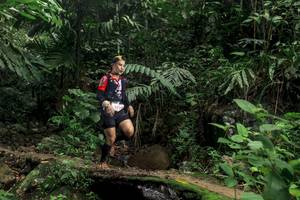 BIB: 325
                            <button type="button" onclick="openModal(24752920)" class="btn btn-primary btn-sm float-right btn-popup" data-toggle="modal" data-target=".modal-high-quality">
                        <i class="fas fa-shopping-cart"></i> Add to Cart
                    </button>
                                            <button type="button" onclick="isThisMe(24752920, true)" class="btn btn-success btn-sm float-right btn-popup btn-isme hidden" data-toggle="tooltip" data-placement="bottom" title="นี่คือรูปของคุณใช่ไหม คลิกที่นี่เพื่อเอาเข้าอัลบั้ม">
                        <i class="fas fa-plus"></i> Add to album
                    </button>
                    <button type="button" onclick="isThisMe(24752920, false)" class="btn btn-warning btn-sm float-right btn-popup btn-isnotme hidden">
                        <i class="fas fa-ban"></i> Remove from album
                    </button>